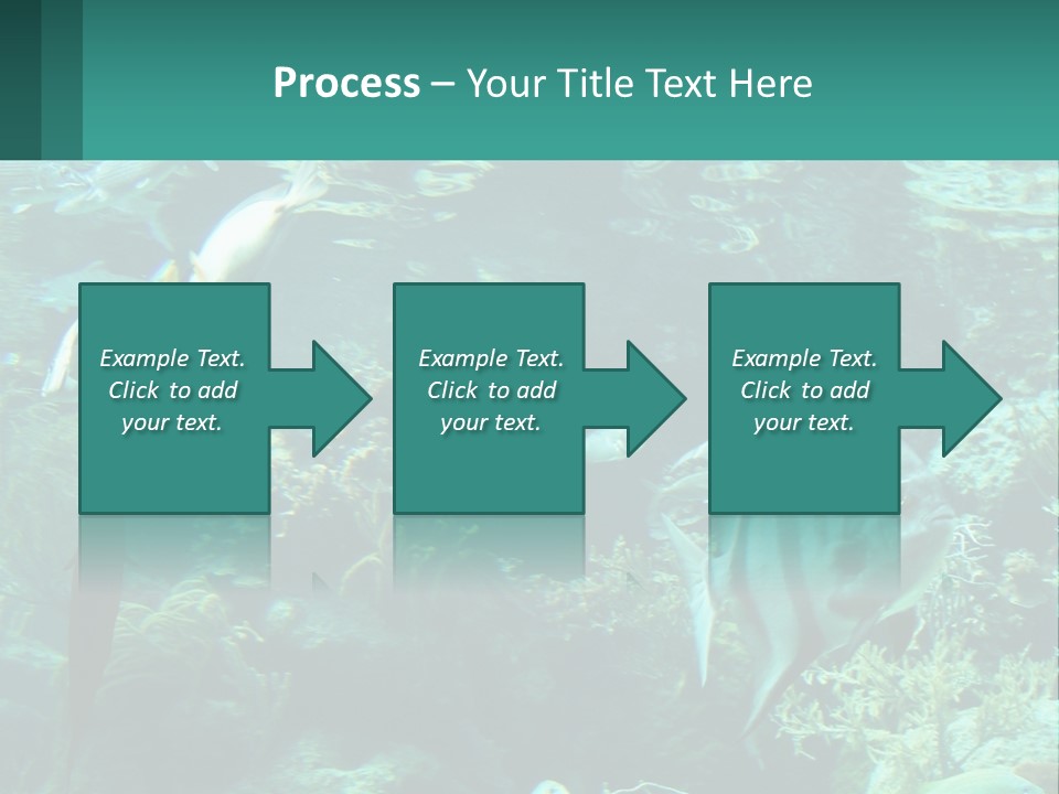A Group Of Fish Swimming In A Large Aquarium PowerPoint Template