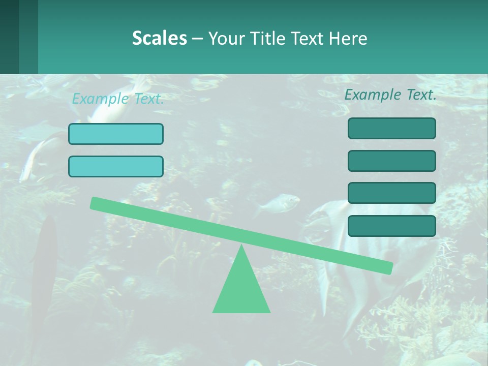 A Group Of Fish Swimming In A Large Aquarium PowerPoint Template
