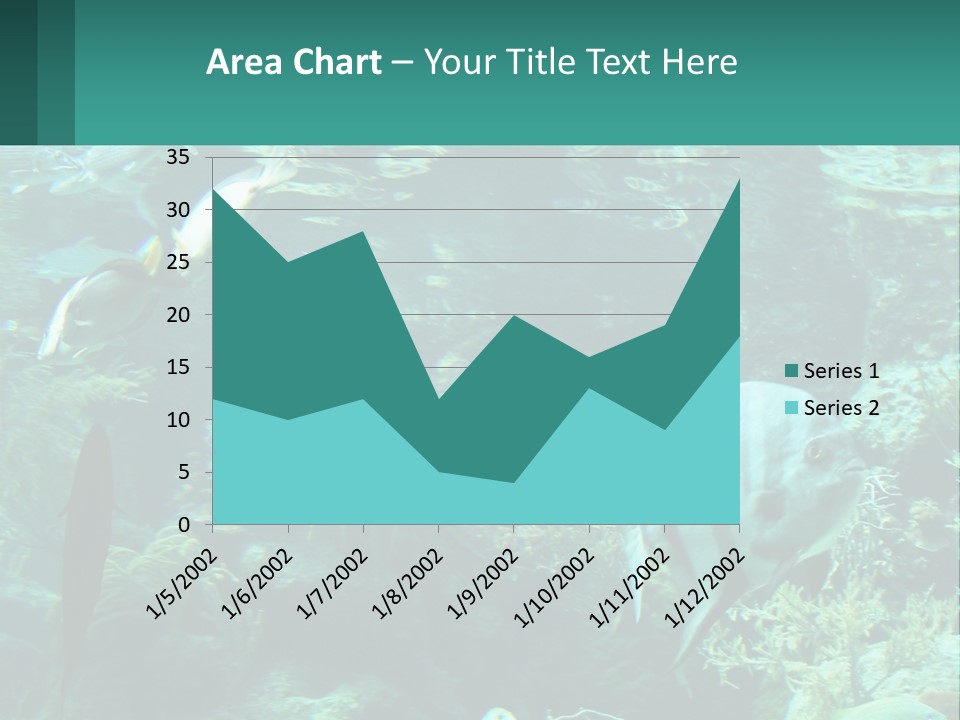 A Group Of Fish Swimming In A Large Aquarium PowerPoint Template