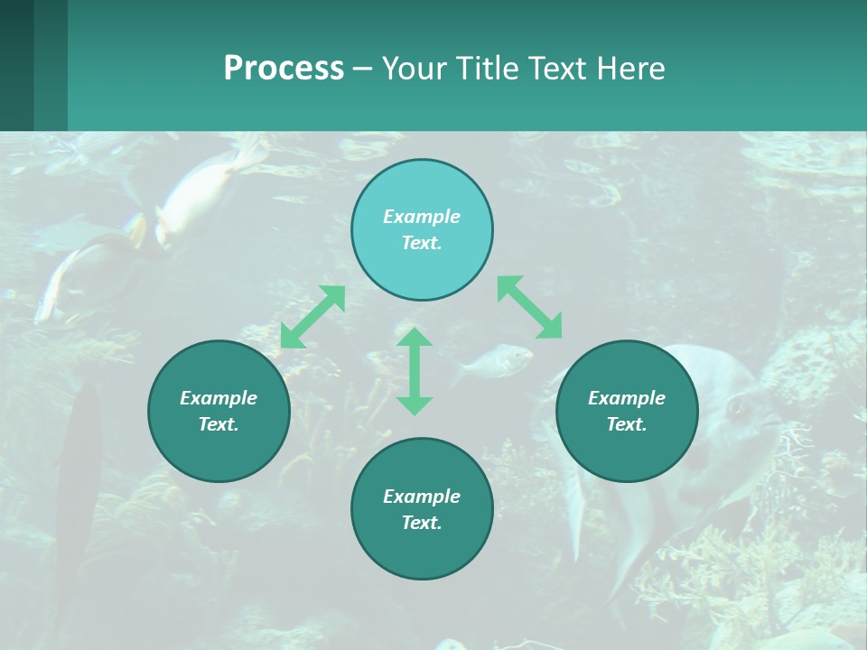 A Group Of Fish Swimming In A Large Aquarium PowerPoint Template
