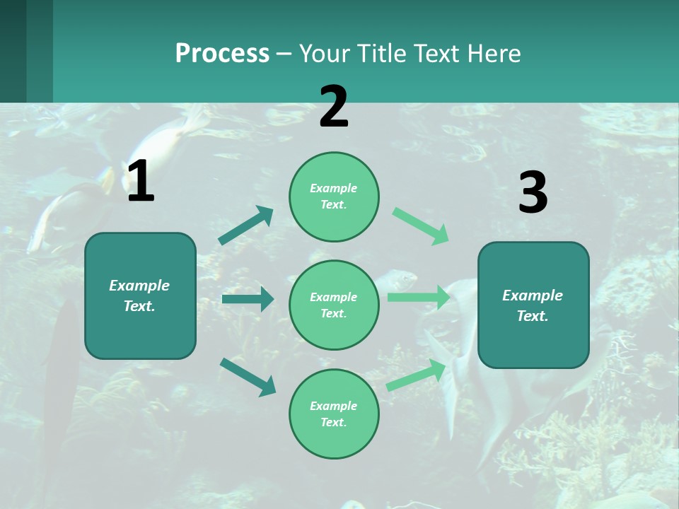 A Group Of Fish Swimming In A Large Aquarium PowerPoint Template