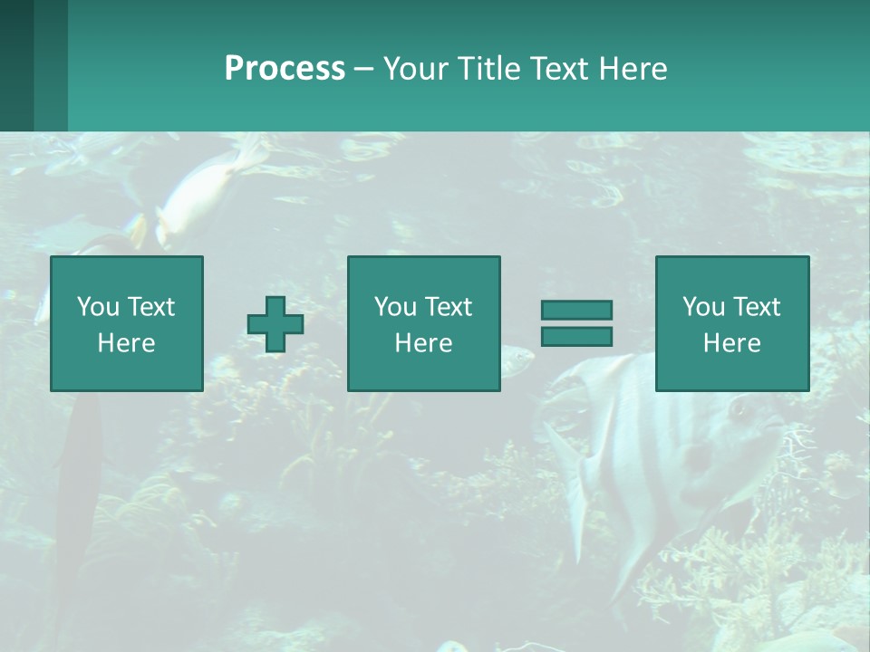 A Group Of Fish Swimming In A Large Aquarium PowerPoint Template