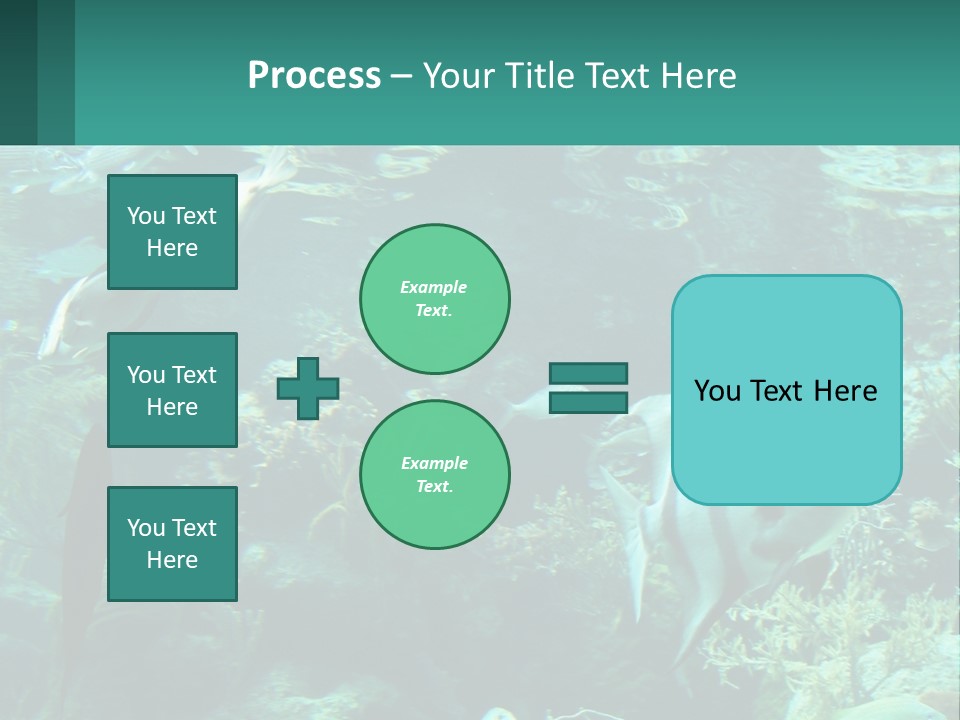 A Group Of Fish Swimming In A Large Aquarium PowerPoint Template