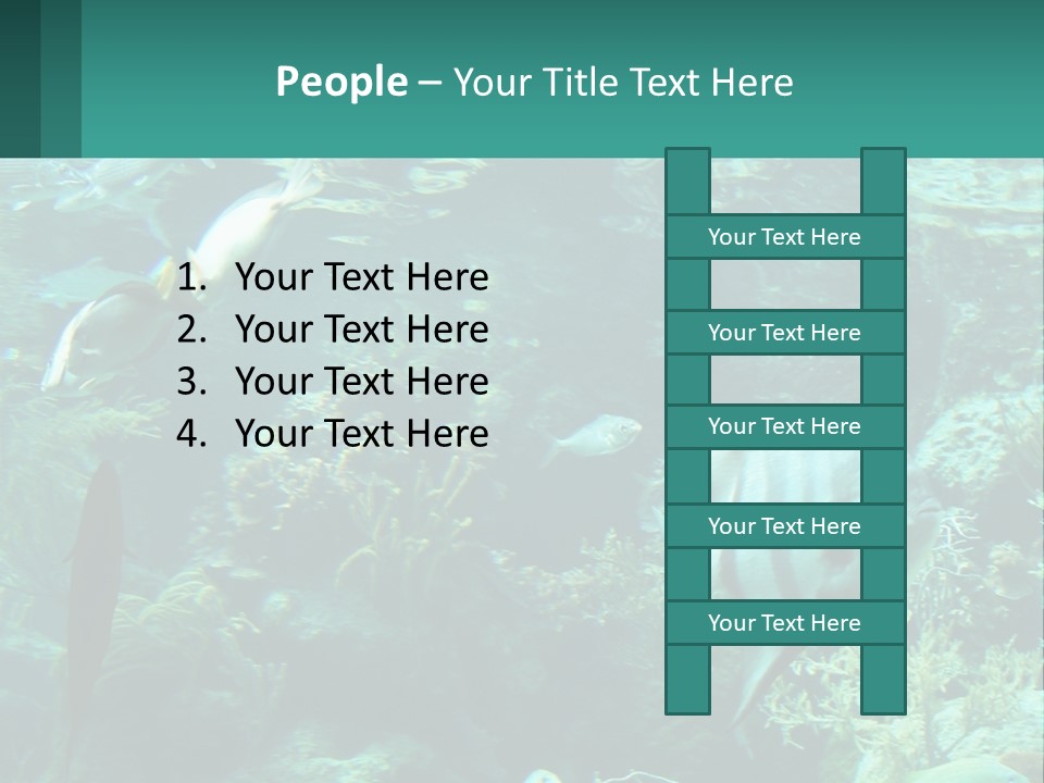 A Group Of Fish Swimming In A Large Aquarium PowerPoint Template