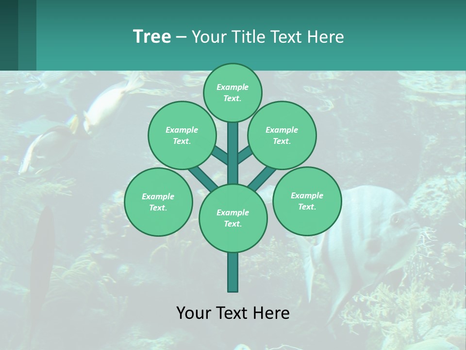 A Group Of Fish Swimming In A Large Aquarium PowerPoint Template