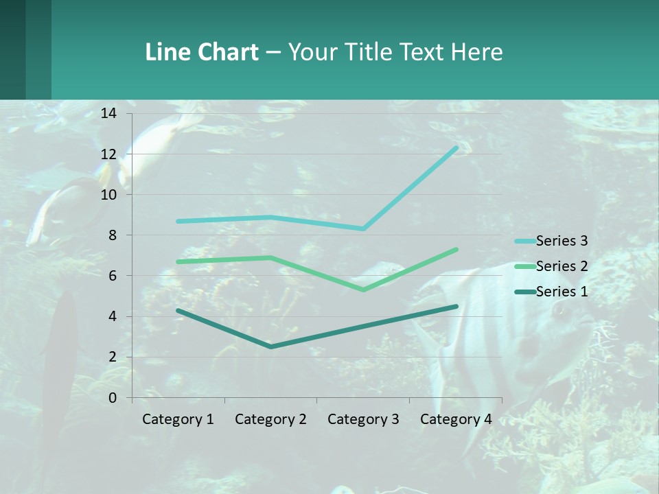 A Group Of Fish Swimming In A Large Aquarium PowerPoint Template