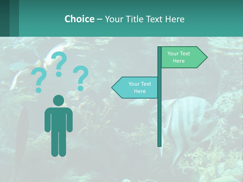 A Group Of Fish Swimming In A Large Aquarium PowerPoint Template