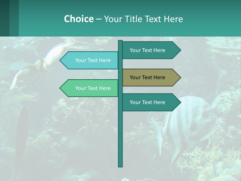 A Group Of Fish Swimming In A Large Aquarium PowerPoint Template
