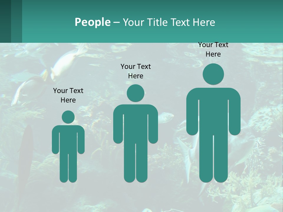 A Group Of Fish Swimming In A Large Aquarium PowerPoint Template