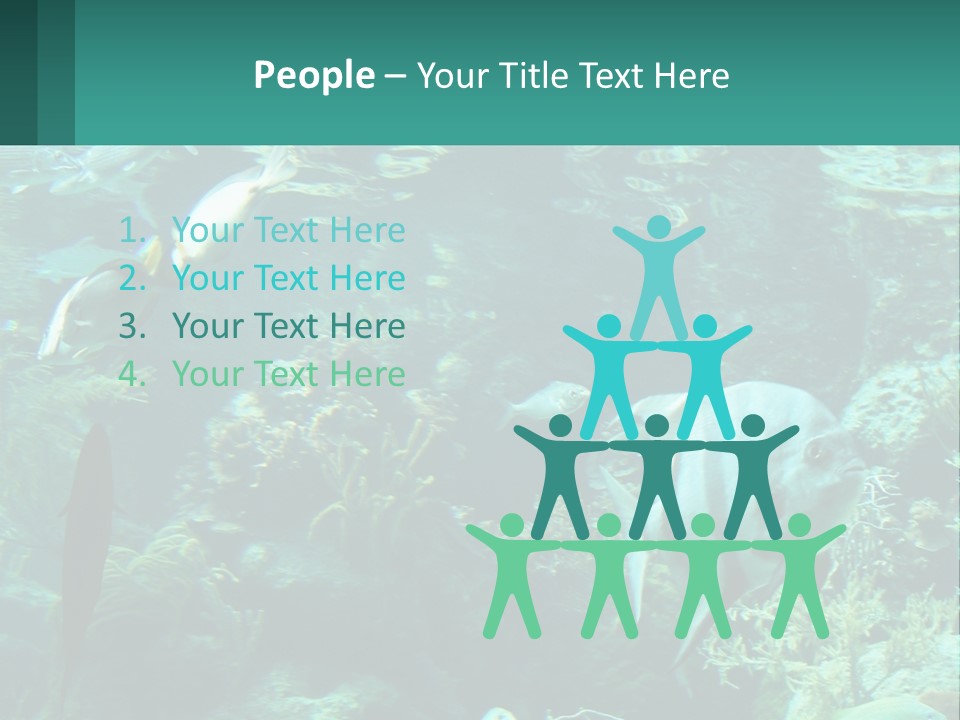 A Group Of Fish Swimming In A Large Aquarium PowerPoint Template