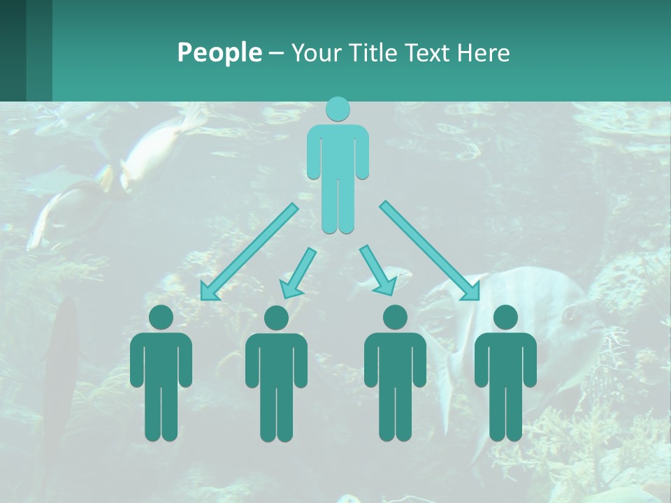 A Group Of Fish Swimming In A Large Aquarium PowerPoint Template