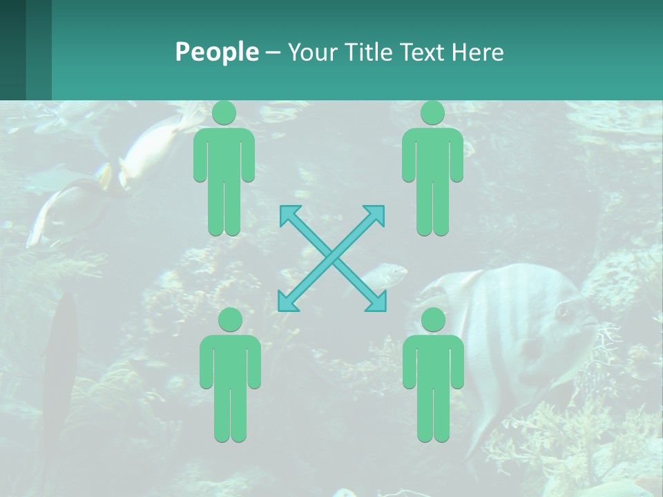 A Group Of Fish Swimming In A Large Aquarium PowerPoint Template