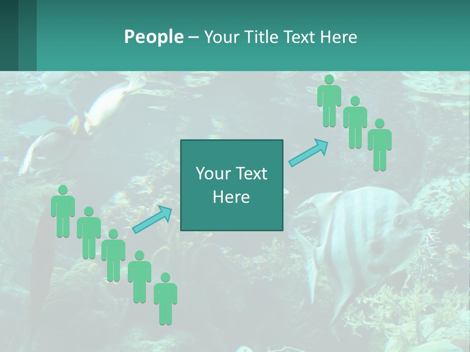 A Group Of Fish Swimming In A Large Aquarium PowerPoint Template