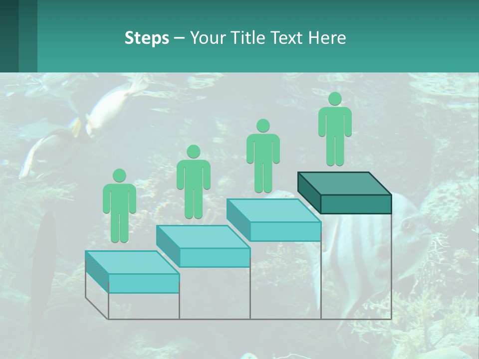 A Group Of Fish Swimming In A Large Aquarium PowerPoint Template