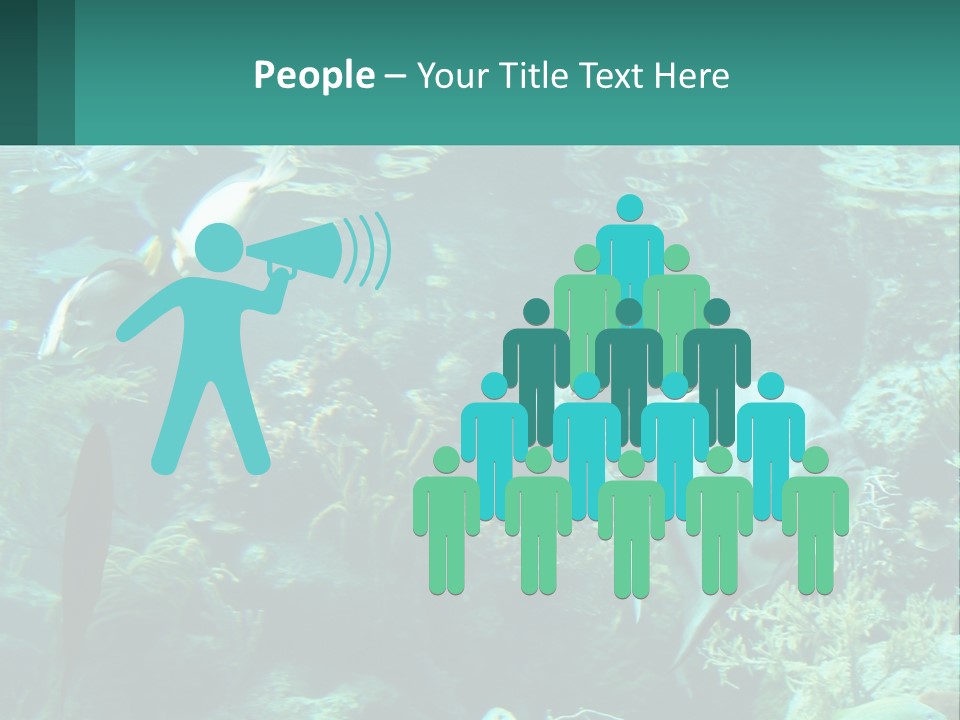 A Group Of Fish Swimming In A Large Aquarium PowerPoint Template