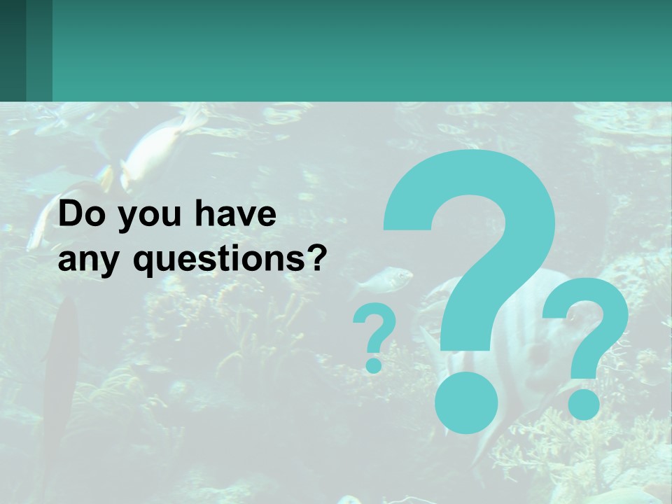 A Group Of Fish Swimming In A Large Aquarium PowerPoint Template