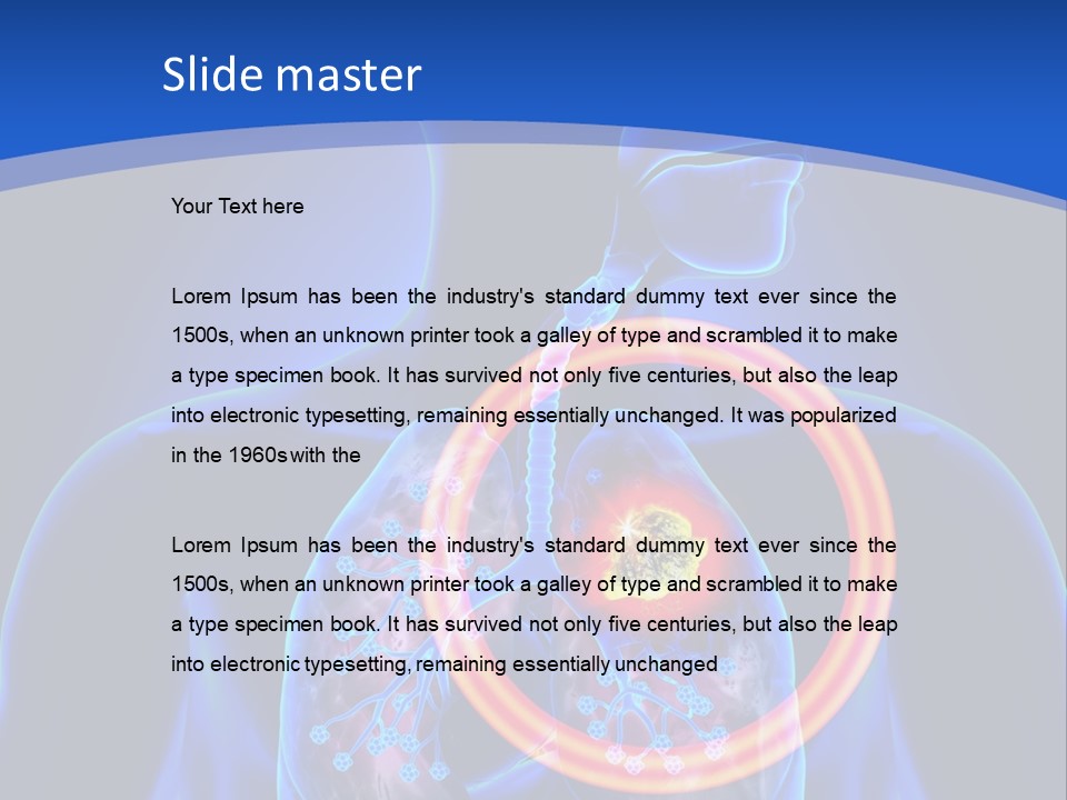 The Stomach Is Shown With A Red Circle Around It PowerPoint Template