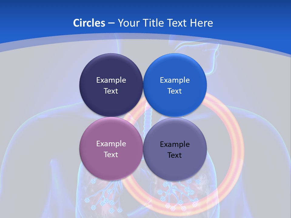 The Stomach Is Shown With A Red Circle Around It PowerPoint Template