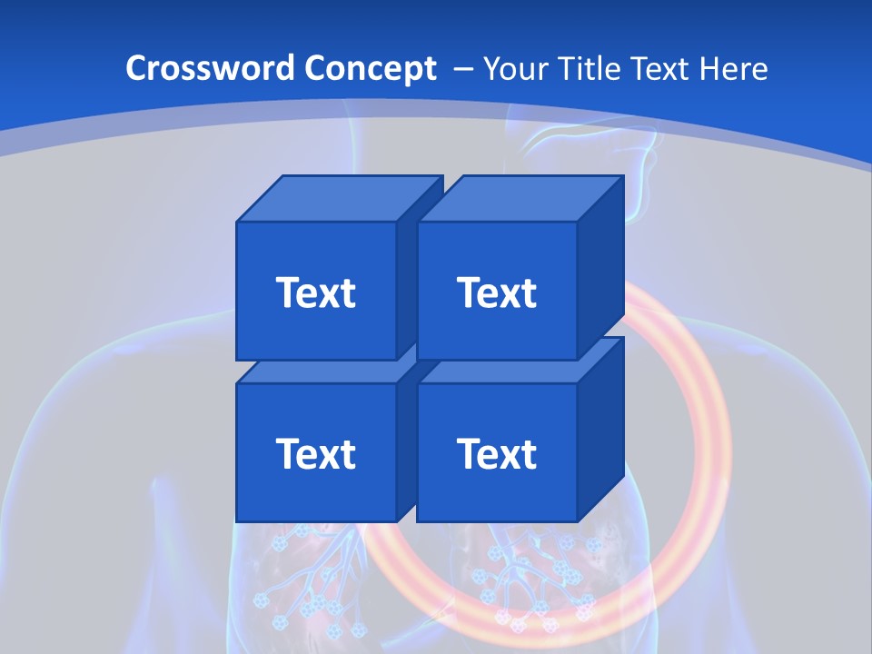 The Stomach Is Shown With A Red Circle Around It PowerPoint Template