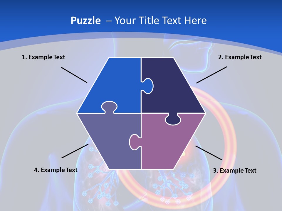 The Stomach Is Shown With A Red Circle Around It PowerPoint Template