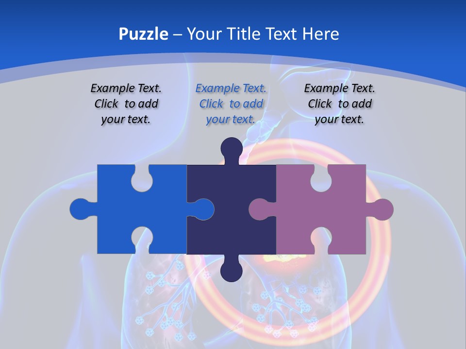 The Stomach Is Shown With A Red Circle Around It PowerPoint Template