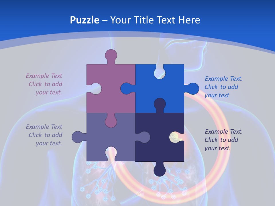 The Stomach Is Shown With A Red Circle Around It PowerPoint Template