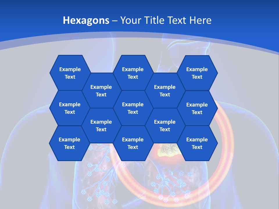 The Stomach Is Shown With A Red Circle Around It PowerPoint Template