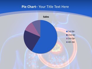 The Stomach Is Shown With A Red Circle Around It PowerPoint Template