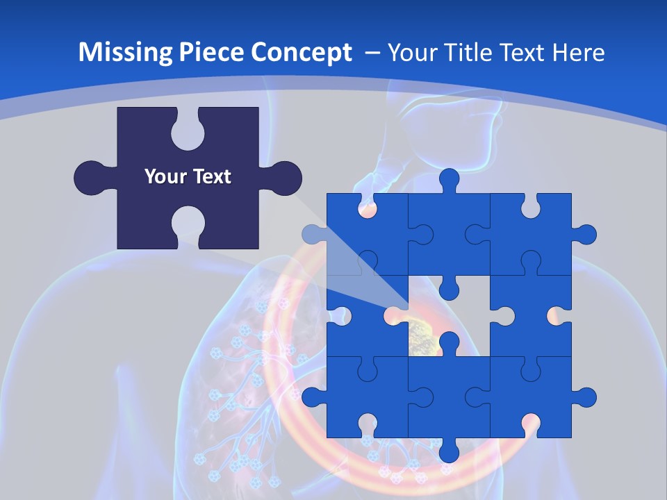 The Stomach Is Shown With A Red Circle Around It PowerPoint Template