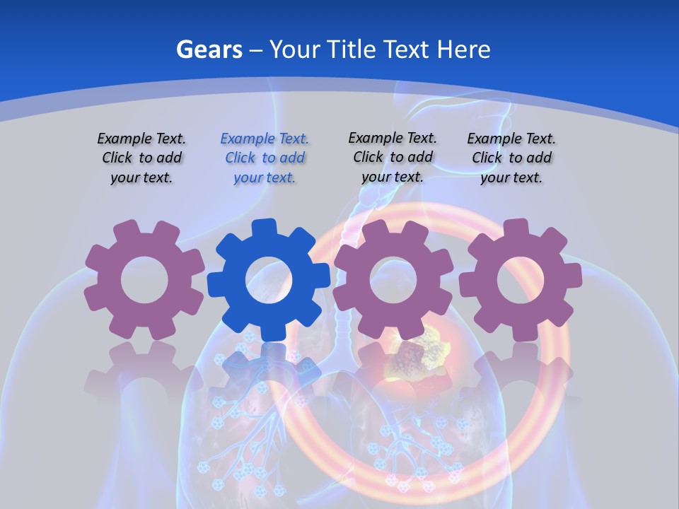 The Stomach Is Shown With A Red Circle Around It PowerPoint Template