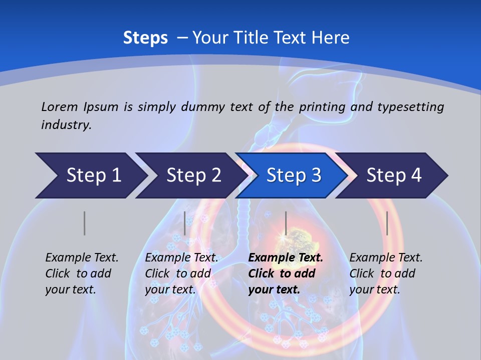 The Stomach Is Shown With A Red Circle Around It PowerPoint Template