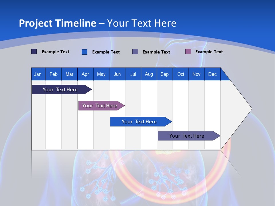 The Stomach Is Shown With A Red Circle Around It PowerPoint Template