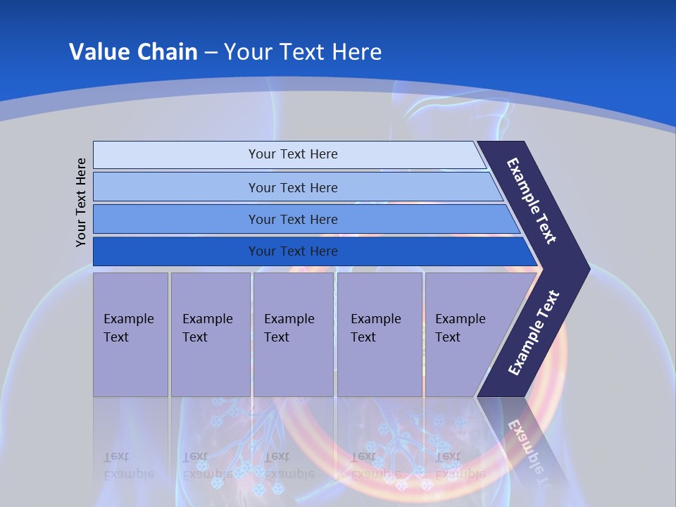 The Stomach Is Shown With A Red Circle Around It PowerPoint Template