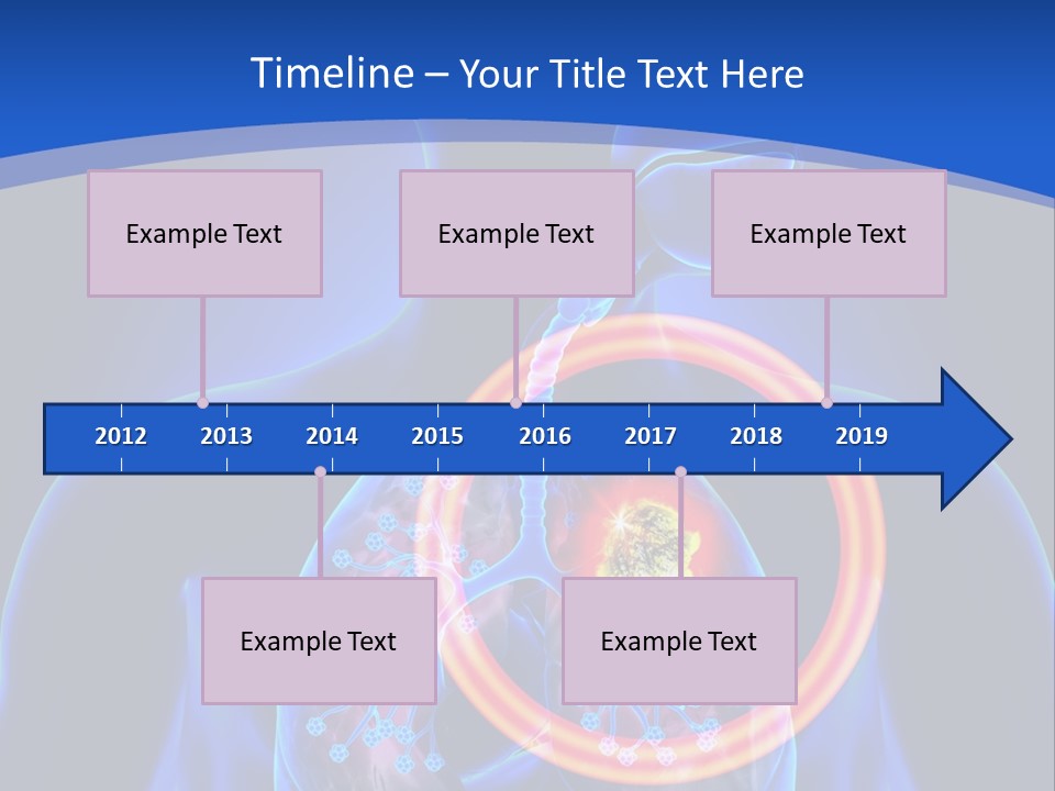 The Stomach Is Shown With A Red Circle Around It PowerPoint Template