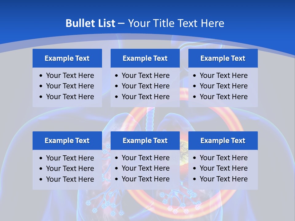 The Stomach Is Shown With A Red Circle Around It PowerPoint Template