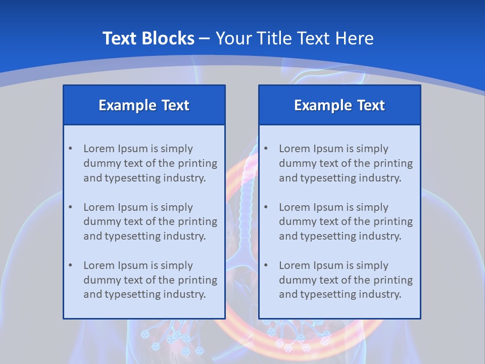 The Stomach Is Shown With A Red Circle Around It PowerPoint Template