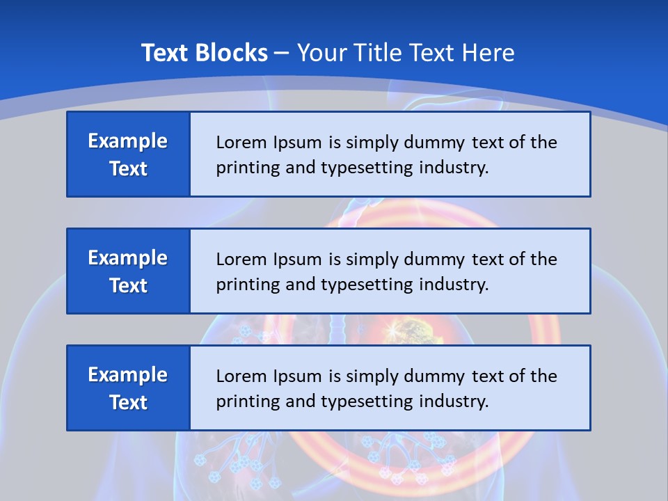The Stomach Is Shown With A Red Circle Around It PowerPoint Template