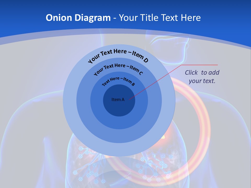 The Stomach Is Shown With A Red Circle Around It PowerPoint Template