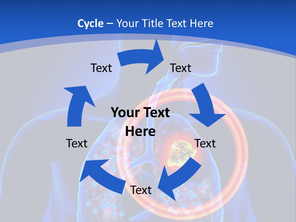 The Stomach Is Shown With A Red Circle Around It PowerPoint Template