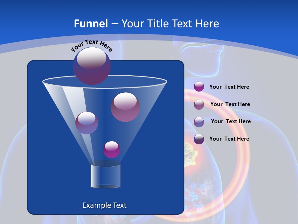 The Stomach Is Shown With A Red Circle Around It PowerPoint Template