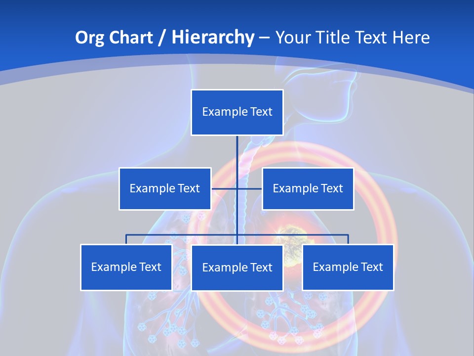 The Stomach Is Shown With A Red Circle Around It PowerPoint Template
