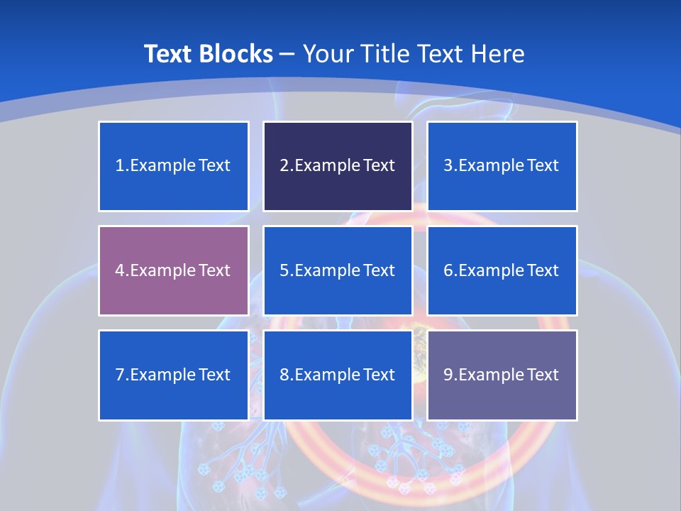 The Stomach Is Shown With A Red Circle Around It PowerPoint Template