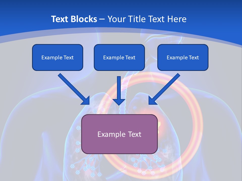 The Stomach Is Shown With A Red Circle Around It PowerPoint Template