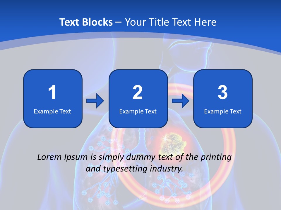 The Stomach Is Shown With A Red Circle Around It PowerPoint Template
