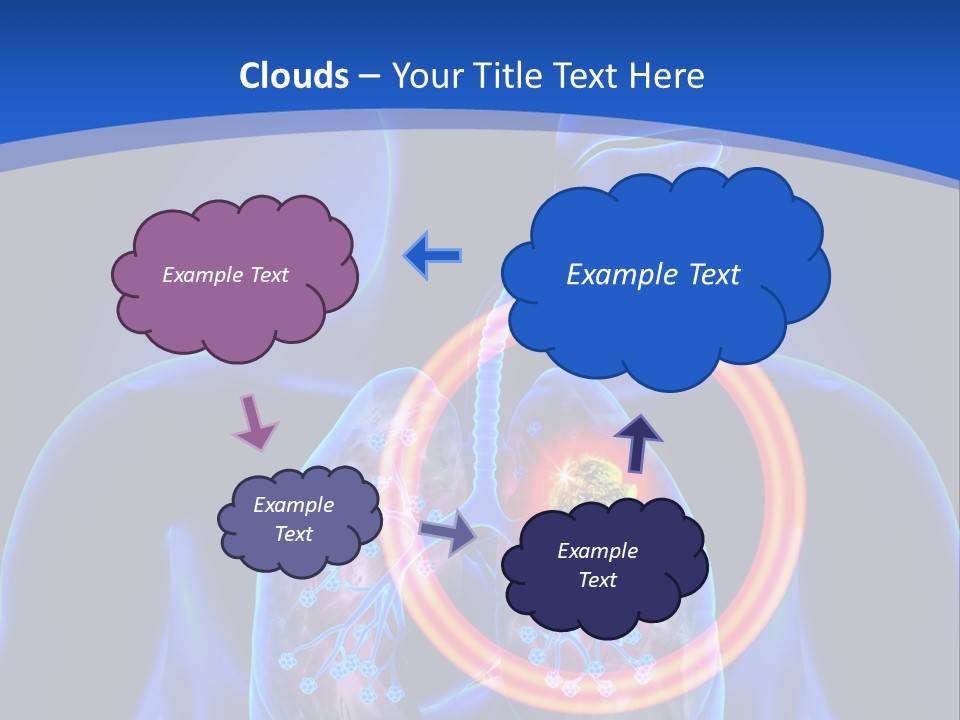 The Stomach Is Shown With A Red Circle Around It PowerPoint Template