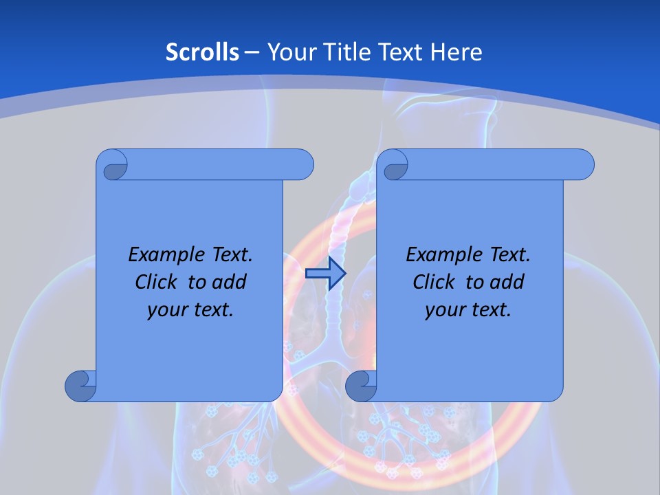 The Stomach Is Shown With A Red Circle Around It PowerPoint Template