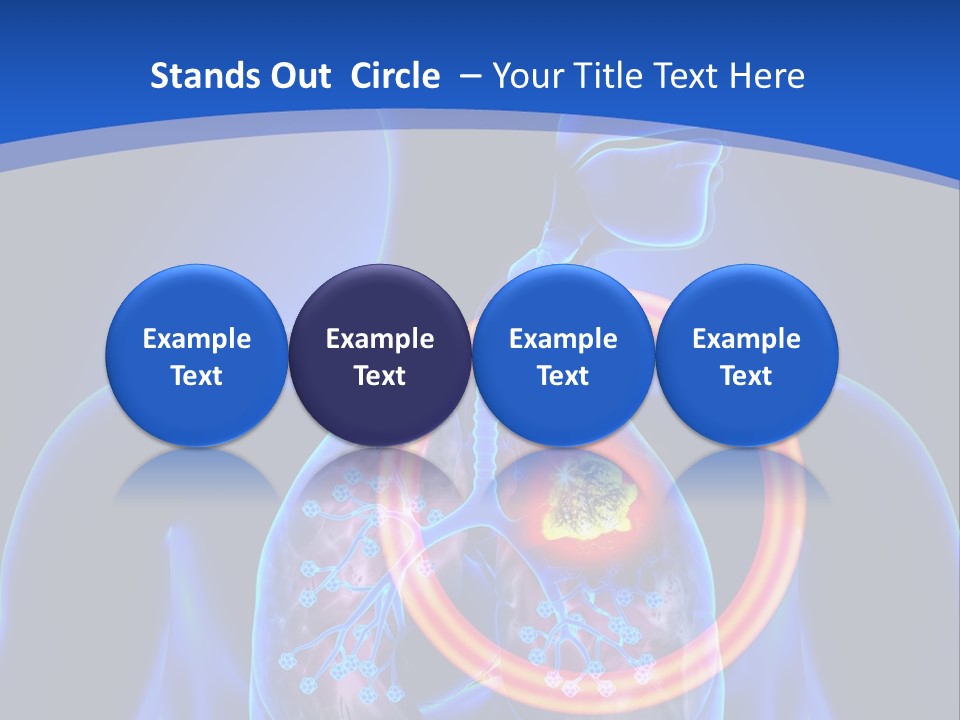 The Stomach Is Shown With A Red Circle Around It PowerPoint Template