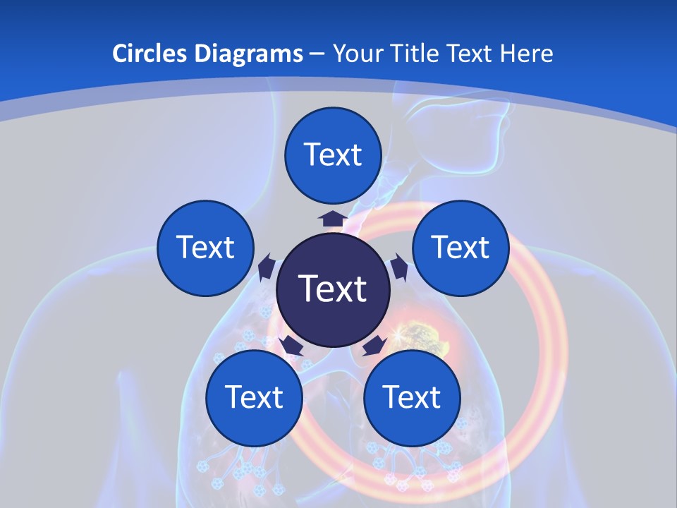 The Stomach Is Shown With A Red Circle Around It PowerPoint Template