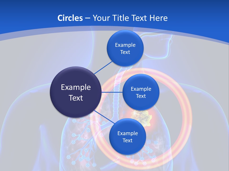 The Stomach Is Shown With A Red Circle Around It PowerPoint Template
