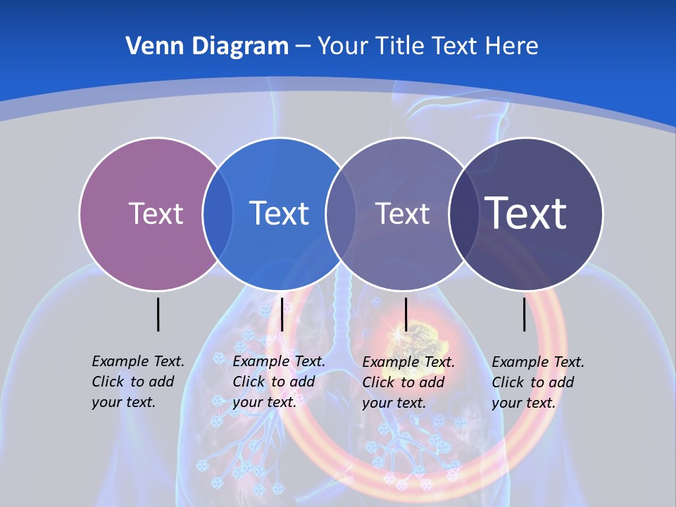 The Stomach Is Shown With A Red Circle Around It PowerPoint Template
